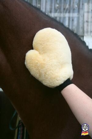 Handschuh aus Echtfell EU B 2 B KUNDEN