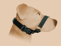 Beruhigungsband Sanfte Abhilfe gegen unerwünschtes Bellen EU B2B KUNDENS